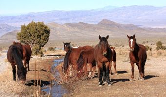 52 Birch Spring Rd, Cold Creek, NV 89124