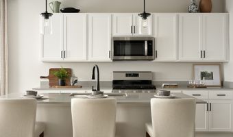 4223 Crestone Peak St Plan: Artisan Three, Brighton, CO 80601