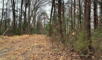 ELLY RD lot 50 81, Aroda, VA 22709