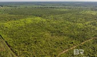 Flowers Road, Bay Minette, AL 36507