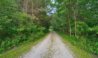 15055 Duffield Rd, Argentine, MI 48418