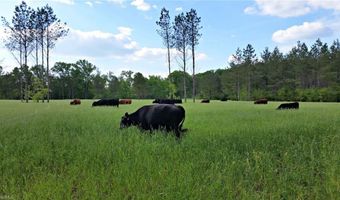 3175 Trotter Rd, Asheboro, NC 27205