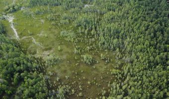 Goldenrod Drive, Barnwell, SC 29812