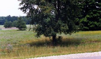 Alden Meadows lot 39, Alden, MI 49612