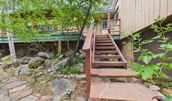 209 E Reds Rd Guest House, Aspen, CO 81611