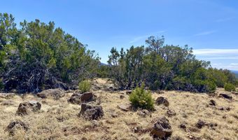 74 County Road 8056, Concho, AZ 85924