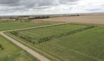 906 7th St NW, Bowman, ND 58623