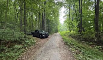 9999 Countryside Est, Barnardsville, NC 28709