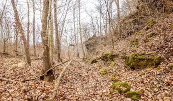 County Road 19-A, Alton, MO 65606