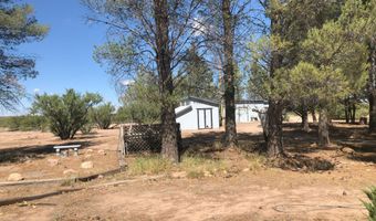 285 W Red Dog Rd, Portal, AZ 85632