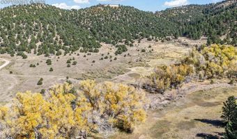 838 County Road 260, Westcliffe, CO 81252