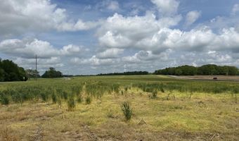 54 Acres Hwy 207, Anderson, AL 35610