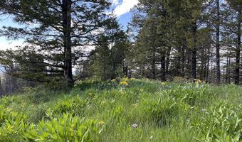 DEER HAVEN 40 AC Road, Bondurant, WY 82922