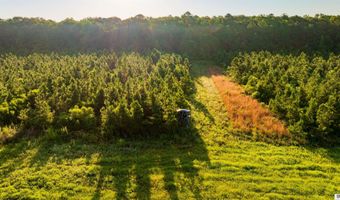 CARPENTER ROAD, Bastrop, LA 71220