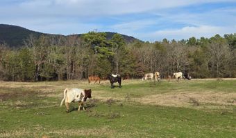 01 TBD Bates Arkansas, Bates, AR 72958