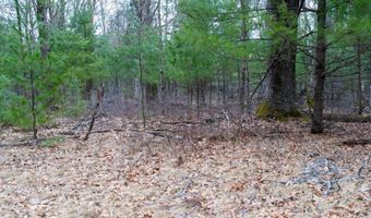 255 45 Ac Dover Dr, Adams, WI 53910