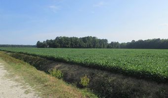 182 Will Poyner Ln, Barco, NC 27917