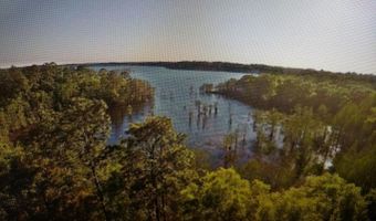 Noland Pond Road, Alford, FL 32420