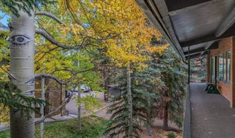 731 S Mill St 3A, Aspen, CO 81611