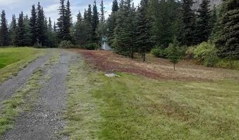 19948 W Glenn Hwy, Chickaloon, AK 99674