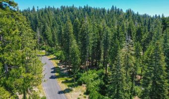 11 Timber Trail Ct, Arnold, CA 95223