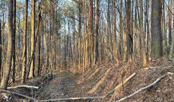 00007 SPRINGHOLLOW Rd Lot 7, Ashville, AL 35953