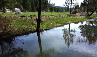 Roney Flat Road, Adin, CA 96006