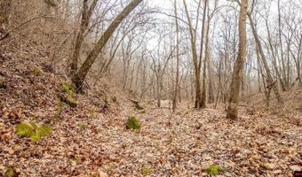 CR 19-A, Alton, MO 65606
