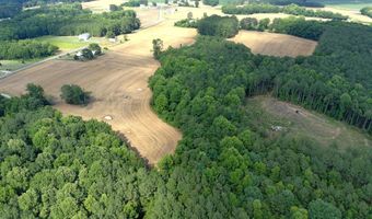 9035 New Sandy Hill Church Rd, Bailey, NC 27807