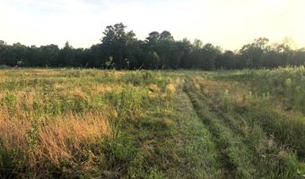 1071 LR 3, Ashdown, AR 71822