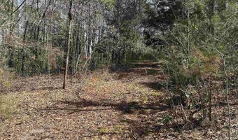 Lot 0 Dearmanville Road, Anniston, AL 36207