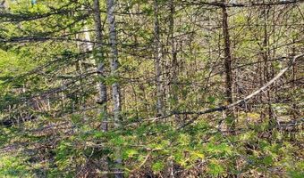40 AC Werth Rd, Alpena, MI 49707