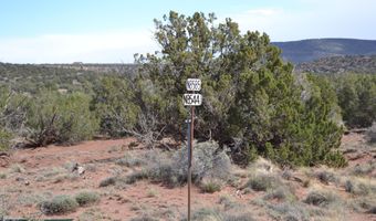 32 N8544 398, Concho, AZ 85924