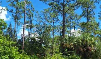 2108 Truman Ave, Alva, FL 33920