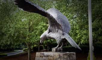 109 Hawks Ct, Ball Ground, GA 30107