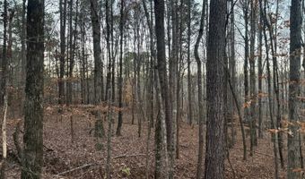 15548 Highway 15 N, Ackerman, MS 39735