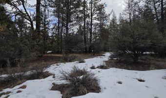 Jaguar Lane Lot 7 & 8, Bonanza, OR 97623