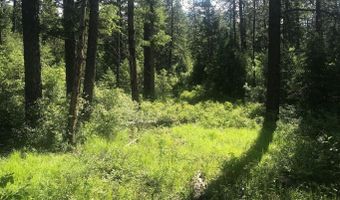 41 Quiet Rd, Athol, ID 83801