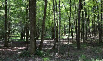 0 County Rd 22, Auburn, AL 36830