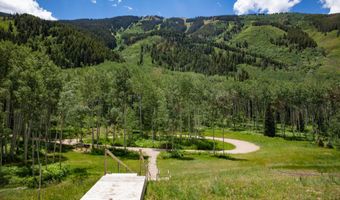 640 S Hayden Rd, Aspen, CO 81611
