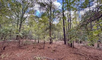 Eugene Ward Road, Adrian, GA 31002