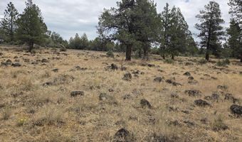8314 Bly Mountain Cutoff Rd, Bonanza, OR 97623