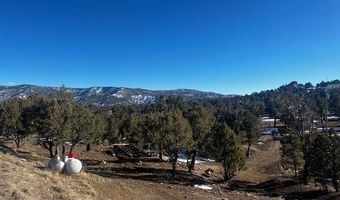 132 White Tail Pl, Arboles, CO 81121