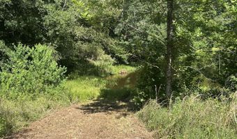 001 Farr Rd, Bolton, MS 39041