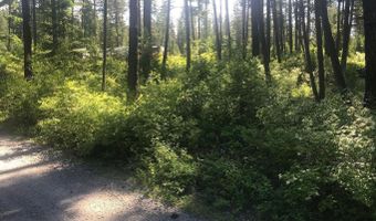 41 Quiet Hts, Athol, ID 83801