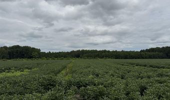 Sr 1932 Off, Aurora, NC 27806