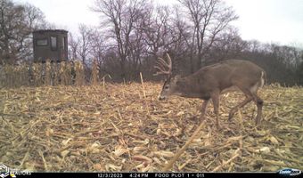 189 Th St, Albia, IA 52531