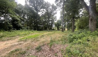 Old Jackson Road, Bells, TN 38006