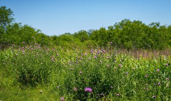 FM 735, Alice, TX 78332