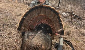 Hwy 9, Bruce, MS 38915